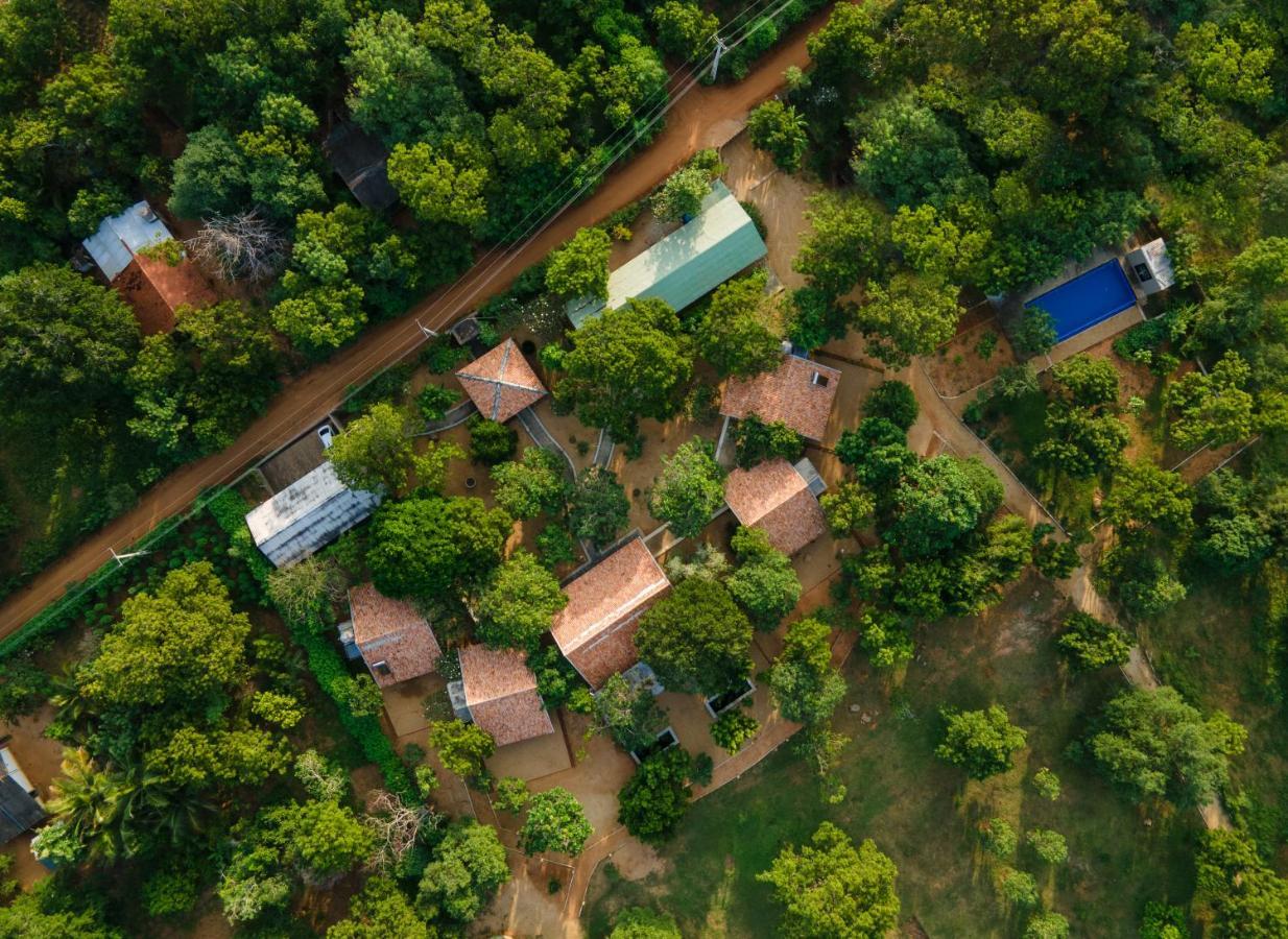Koragaha Lodge - Yala Tissamaharama Exterior foto